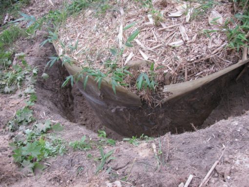 Beginnen met rondom een sleuf te graven die 1 meter diep is (want de wortel-controle is 1 m diep. 